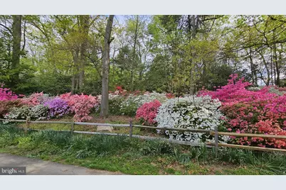 941 Patrick Henry Drive, Arlington, VA 22205 - Photo 41