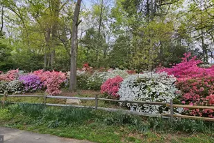 941 Patrick Henry Dr, Arlington, VA 22205 - Photo 41