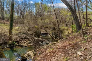 19 S Edison St, Arlington, VA 22204 - Photo 101