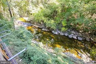 4854 10th St S, Arlington, VA 22204 - Photo 5