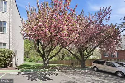 5017 7th Road S #102, Arlington, VA 22204 - Photo 29