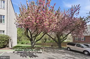 5017 7th Rd S, Arlington, VA 22204 - Photo 29