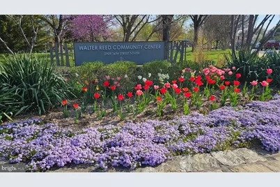 1400 S Edgewood Street #515, Arlington, VA 22204 - Photo 45