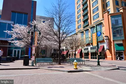 2627 S Walter Reed Drive S #B, Arlington, VA 22206 - Photo 29