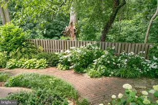 244 N Columbus St, Arlington, VA 22203 - Photo 31