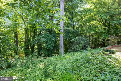4017 N Stafford Street, Arlington, VA 22207 - Photo 17