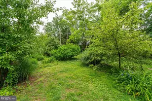 1431 N Fillmore St, Arlington, VA 22201 - Photo 45