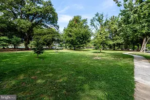 3515 Washington Blvd, Arlington, VA 22201 - Photo 47