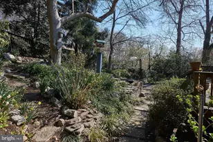3615 38th St N, Arlington, VA 22207 - Photo 9