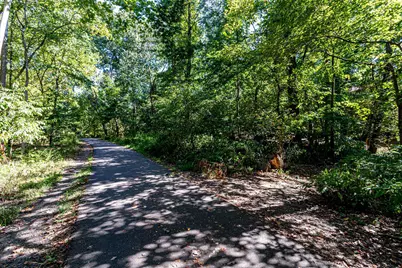 2428 S Walter Reed Drive #A, Arlington, VA 22206 - Photo 31