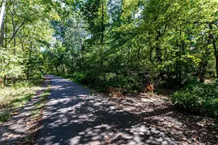 2428 S Walter Reed Dr, Arlington, VA 22206 - Photo 31