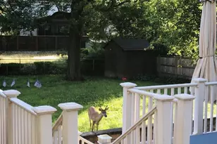 2138 Patrick Henry Dr, Arlington, VA 22205 - Photo 39