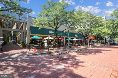 4815 31st Street S #B1, Arlington, VA 22206 - Photo 43