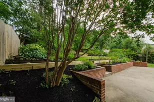 971 N Rochester St, Arlington, VA 22205 - Photo 5