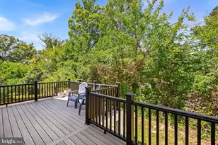 26 S Park Dr, Arlington, VA 22204 - Photo 69
