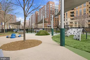 3650 S Glebe Rd, Arlington, VA 22202 - Photo 39