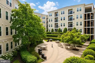 2465 Army Navy Dr, Arlington, VA 22206 - Photo 17