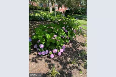 1736 N Rhodes Street #5-290, Arlington, VA 22201 - Photo 19