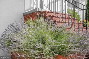 5501 11th St N, Arlington, VA 22205 - Photo 3