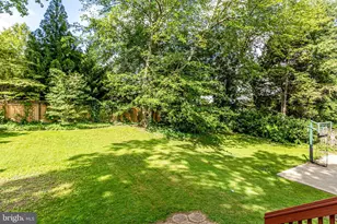 3936 N Upland St, Arlington, VA 22207 - Photo 57
