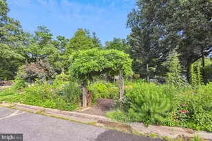 1509 N Powhatan St, Arlington, VA 22205 - Photo 35