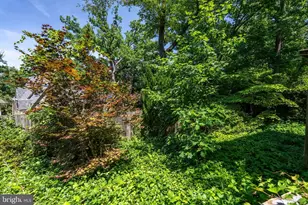623 29th St S, Arlington, VA 22202 - Photo 33