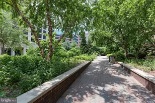1001 N Randolph St, Arlington, VA 22201 - Photo 33