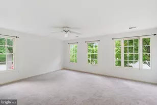 2904 N 4th Street N, Arlington, VA 22201 - Photo 17