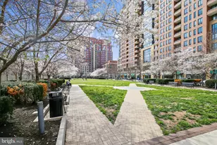 650 15th St S, Arlington, VA 22202 - Photo 23