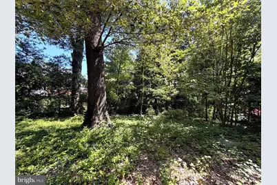 3123 Military Road N, Arlington, VA 22207 - Photo 5