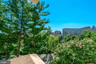 1101 S Arlington Ridge Rd, Arlington, VA 22202 - Photo 41