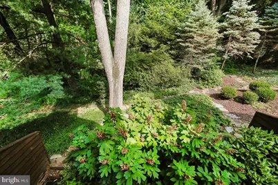 2467 N Wakefield Court, Arlington, VA 22207 - Photo 51
