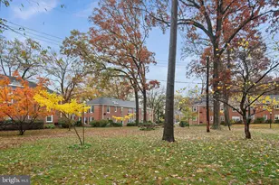 234 N Thomas St, Arlington, VA 22203 - Photo 13