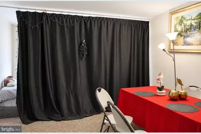 750 S Dickerson Street #402, Arlington, VA 22204 - Photo 9