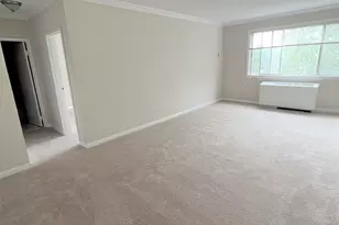 3601 5th St S, Arlington, VA 22204 - Photo 15