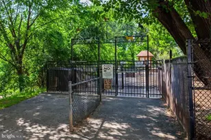 2805 S Woodrow St, Arlington, VA 22206 - Photo 27