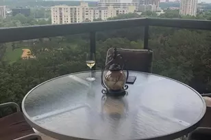 205 Yoakum Pkwy, Alexandria, VA 22304 - Photo 3