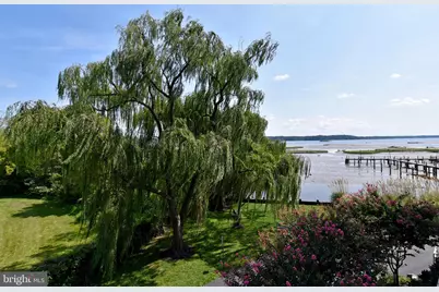 1250 S Washington Street #203, Alexandria, VA 22314 - Photo 7