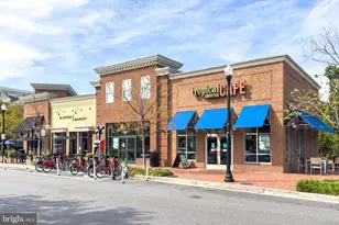 916 Bernard St, Alexandria, VA 22314 - Photo 37