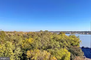 635 Slaters Ln, Alexandria, VA 22314 - Photo 47