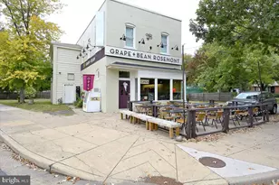 310 N View Terrace, Alexandria, VA 22301 - Photo 59