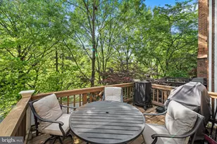 4668 Kell Ln, Alexandria, VA 22311 - Photo 13