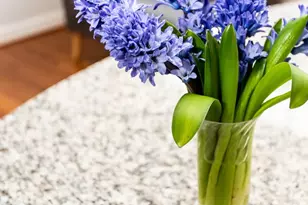 428 John Carlyle St, Alexandria, VA 22314 - Photo 39