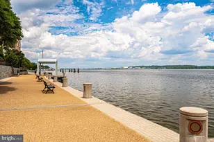 17 Alexander St, Alexandria, VA 22314 - Photo 73