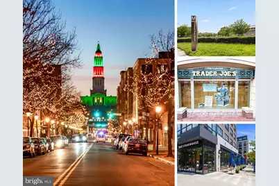 808 Montgomery Street, Alexandria, VA 22314 - Photo 39