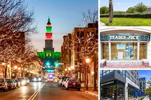 808 Montgomery St, Alexandria, VA 22314 - Photo 39