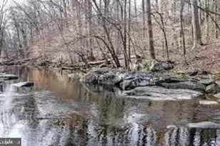 2313 N Tracy St, Alexandria, VA 22311 - Photo 13