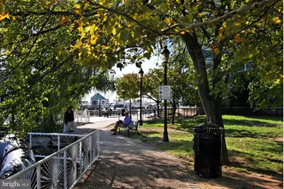 2050 Jamieson Avenue #1409, Alexandria, VA 22314 - Photo 39