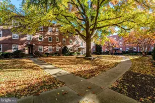 726 S Fayette St, Alexandria, VA 22314 - Photo 17