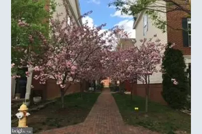 4925 Waple Lane, Alexandria, VA 22304 - Photo 27